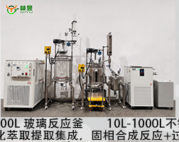 100L玻璃固相合成釜